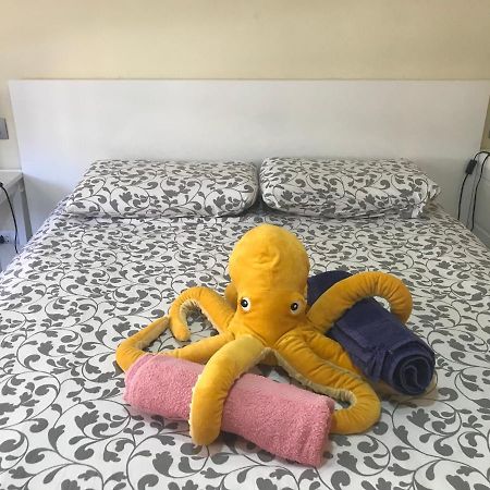 Medano Octopus Apartment 厄尔梅达诺 外观 照片
